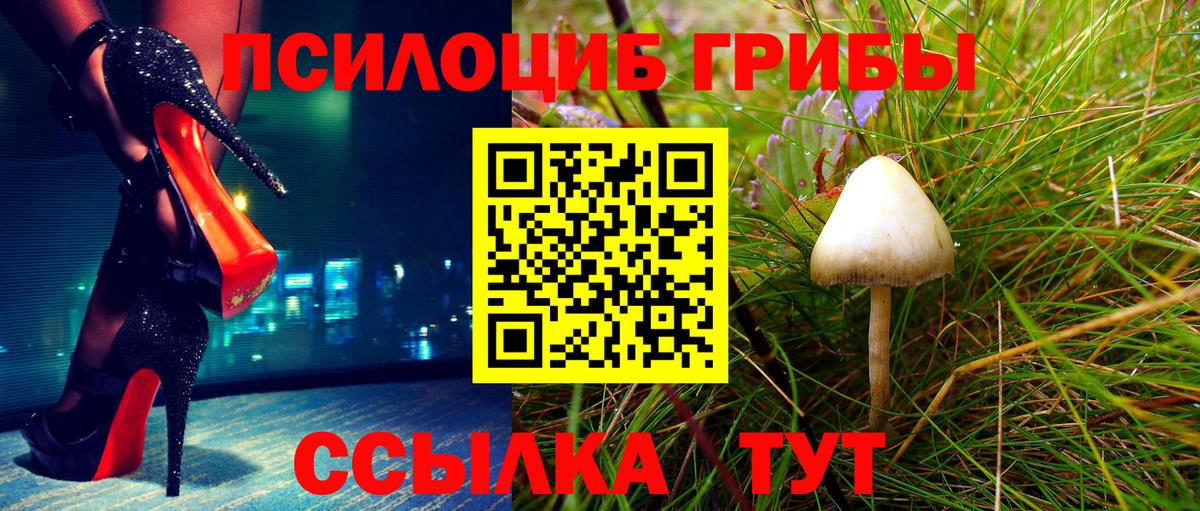 Уссурийск  Галлюциногенные грибы GOLDEN TEACHER  Вход с VPN 