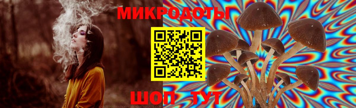 Галлюциногенные грибы Cubensis Уссурийск